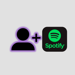 SPOTIFY SEGUIDORES