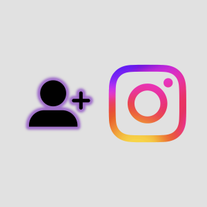 INSTAGRAM SEGUIDORES